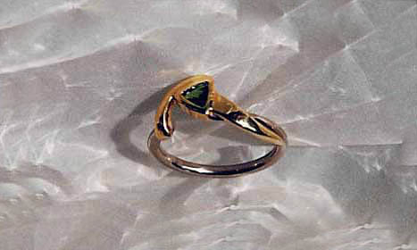 geelgoud titanium ring