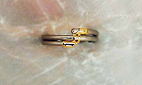 geelgouden ring met titanium